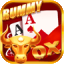rummy tour apk